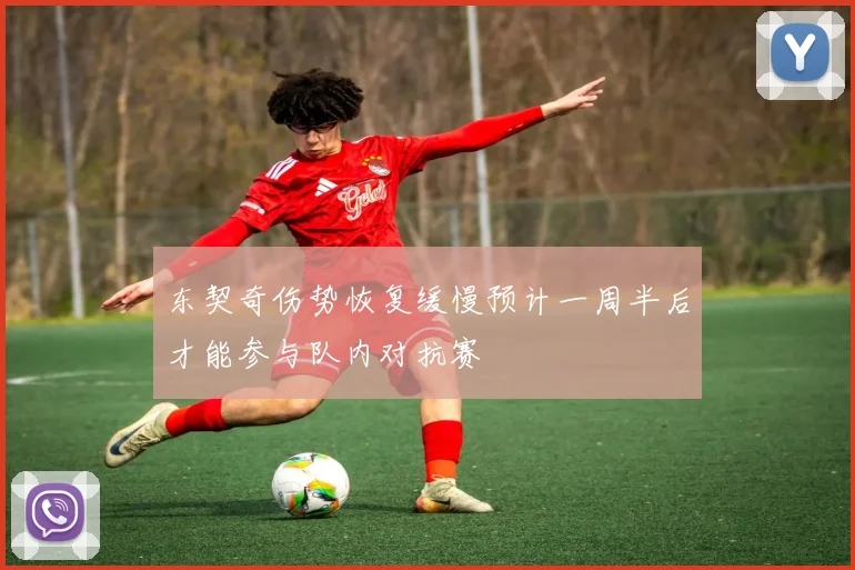 东契奇伤势恢复缓慢预计一周半后才能参与队内对抗赛